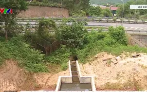 Nước thải công nghiệp ô nhiễm, ảnh hưởng sản xuất nông nghiệp