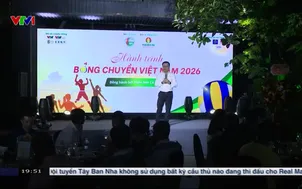Thể thao 24/7 | 26/5/2026