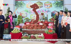 Bắc Ninh xúc tiến tiêu thụ vải thiều và nông sản đặc trưng