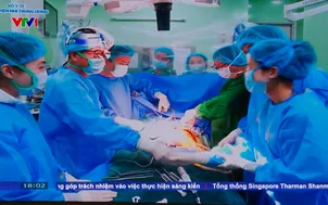 Cột mốc 100 ca ghép gan trẻ em tại Việt Nam