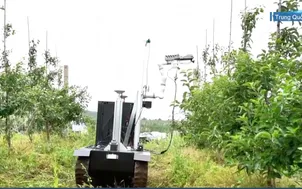 Robot hỗ trợ trồng táo