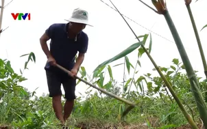 Lúng túng chi trả hỗ trợ thiệt hại do thiên tai