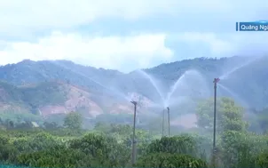 Giảm thiểu thiệt hại do nắng hạn