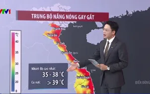 Bản tin thời tiết 18h45 - 06/6/2026