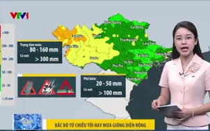 Bản tin thời tiết 6h30 - 08/6/2026