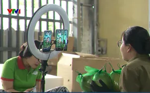 Hỗ trợ nông dân chuyển đổi số
