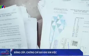 Phát hiện nhiều bằng cấp, chứng chỉ giả khi xin việc