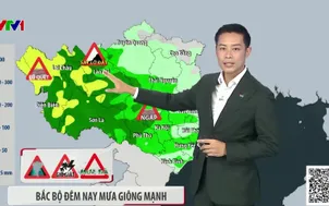 Bản tin thời tiết 19h45 - 08/6/2026