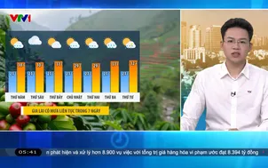 Bản tin thời tiết 5h30 - 11/6/2026
