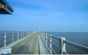 Phát triển chuỗi cung ứng điện gió