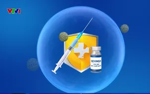 Chủ động phòng bệnh sốt xuất huyết