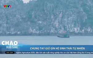 Chung tay giữ gìn hệ sinh thái tự nhiên
