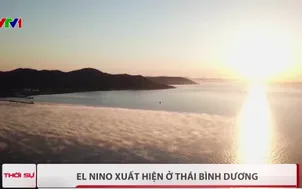 El Nino xuất hiện ở Thái Bình Dương