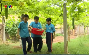 Buổi sáng tham gia học kỳ quân đội
