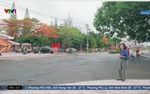 Quảng Ngãi: Bắt đầu khai quật tìm mộ liệt sĩ tập thể