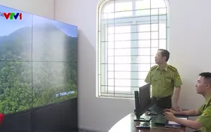 Cảnh báo cháy rừng hiệu quả bằng hệ thống camera AI