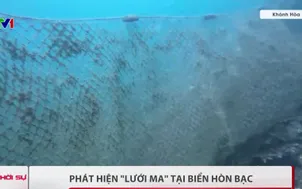 Phát hiện "lưới ma" tại biển Hòn Bạc