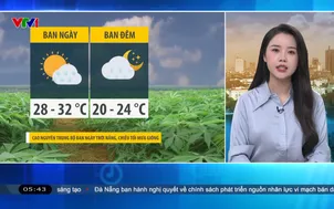 Bản tin thời tiết 5h30 - 17/6/2026