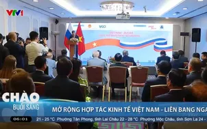 Mở rộng hợp tác kinh tế Việt Nam - Liên bang Nga