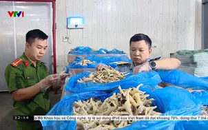 Nhập lậu hơn 1,2 triệu tấn chân gà từ vùng dịch