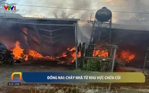 Đồng Nai: Cháy nhà từ khu vực chứa củi