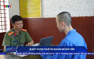 Bị bắt vì cho thuê tài khoản để rửa tiền