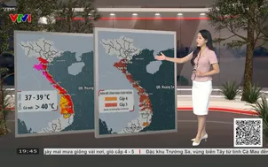 Bản tin thời tiết 19h45 - 24/6/2026