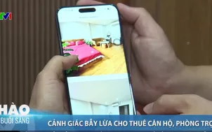 Cảnh giác bẫy lừa cho thuê căn hộ, phòng trọ