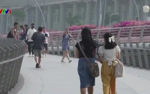 Đông Nam Á báo động nguy cơ khói mù nghiêm trọng do El Nino