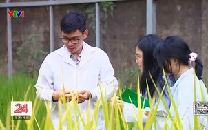 Tự chủ vắc xin bước ngoặt của ngành chăn nuôi