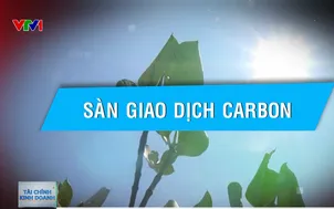 Sàn giao dịch carbon