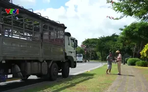 Liên tiếp tai nạn giao thông tại khu công nghiệp