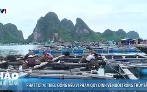 Phạt tới 70 triệu đồng nếu vi phạm quy định về nuôi trồng thủy sản