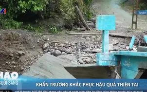 Khẩn trương khắc phục hậu quả thiên tai