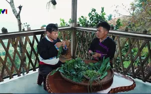 Đổi thay làng quê nhờ du lịch cộng đồng