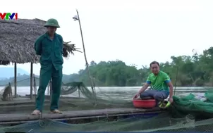 Đánh thức tiềm năng nuôi cá lòng hồ