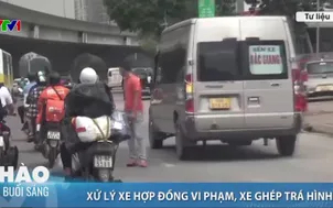 Xử lý xe hợp đồng vi phạm, xe ghép trá hình 