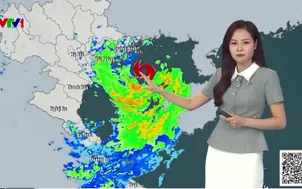 Bản tin thời tiết 12h30 - 04/7/2026