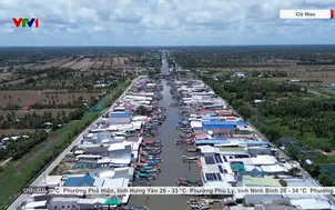 Tổ đội đoàn kết giúp ngư dân yên tâm bám biển