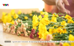 Chiến tranh đã qua, tình yêu ở lại