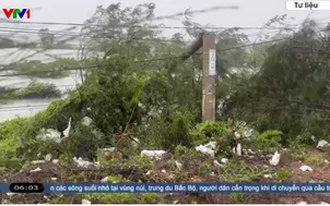 Tháng 7/2026, Bắc Bộ mưa vượt trung bình nhiều năm