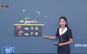 Bản tin thời tiết 6h30 - 12/7/2026