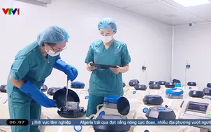 Nhiều phụ nữ độc thân có cơ hội làm mẹ 
