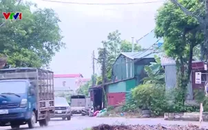 Sống chung với mùi hôi vì cơ sở chế biến lông vịt