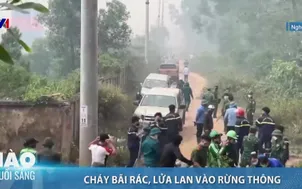 Cháy bãi rác, lửa lan vào rừng thông