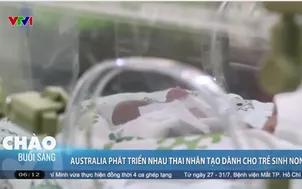 Australia phát triển nhau thai nhân tạo dành cho trẻ sinh non