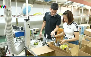 Thu giữ hàng nghìn đèn led giả xuất xứ Việt Nam