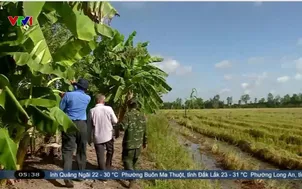 Ký ức dẫn lối cho cuộc trở về sau gần 60 năm