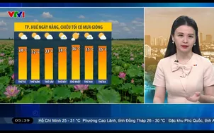 Bản tin thời tiết 5h30 - 29/7/2026