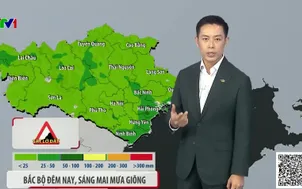 Bản tin thời tiết 19h45 - 30/7/2026